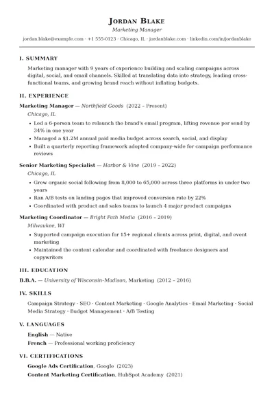 Brief resume template preview