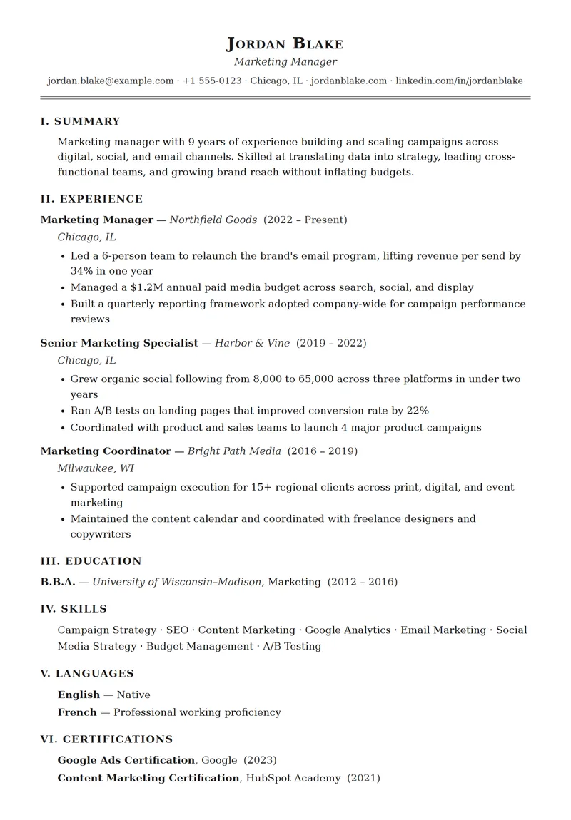 Full preview of the Brief resume template