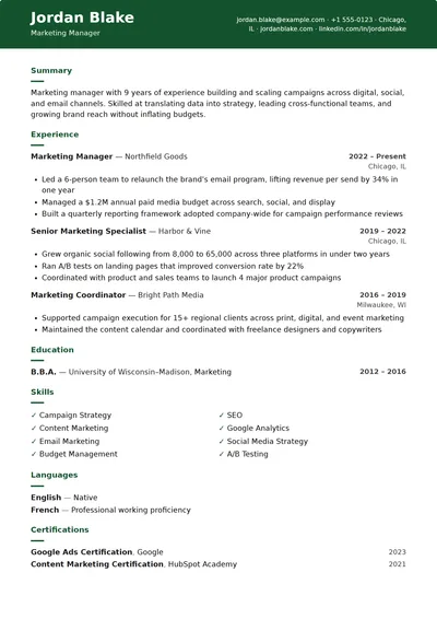 Chalkboard resume template preview