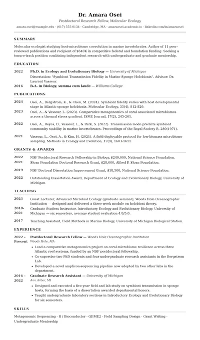 Curriculum resume template preview