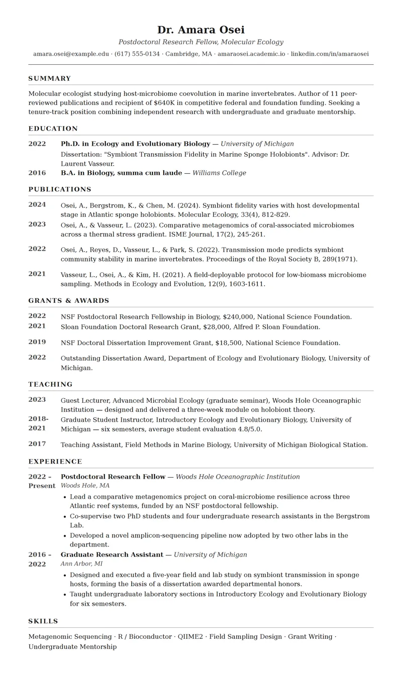 Full preview of the Curriculum resume template
