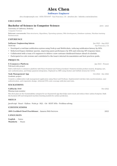 Foundation resume template preview