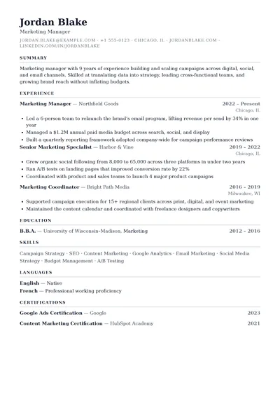 Ledger resume template preview