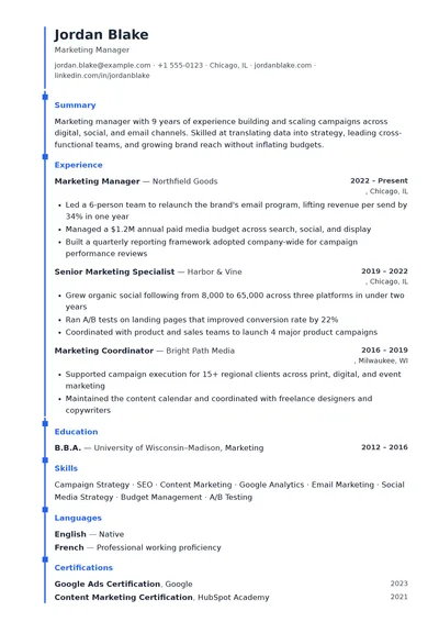 Pulse resume template preview